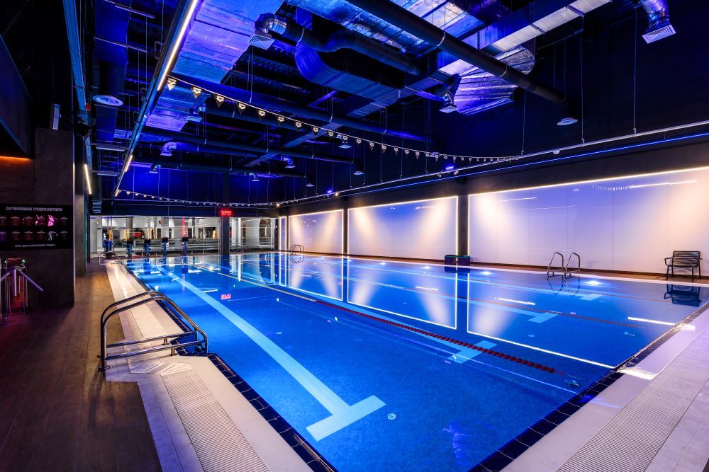 Provimed ������ �������: ����.